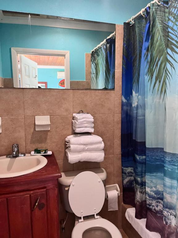 Bay Inn Estates, Alice Town, Bahamas – photo 3